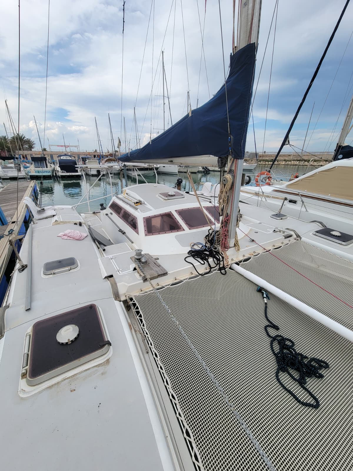 Edelcat photo 9